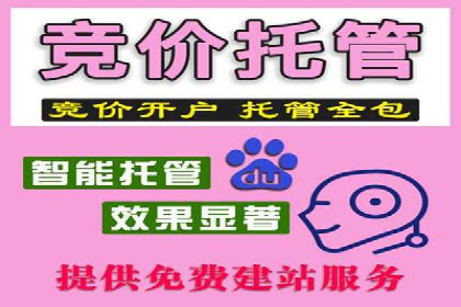 竞价代运营的实践与思考：一则科技公司的广告策略